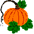 Pumpkin image